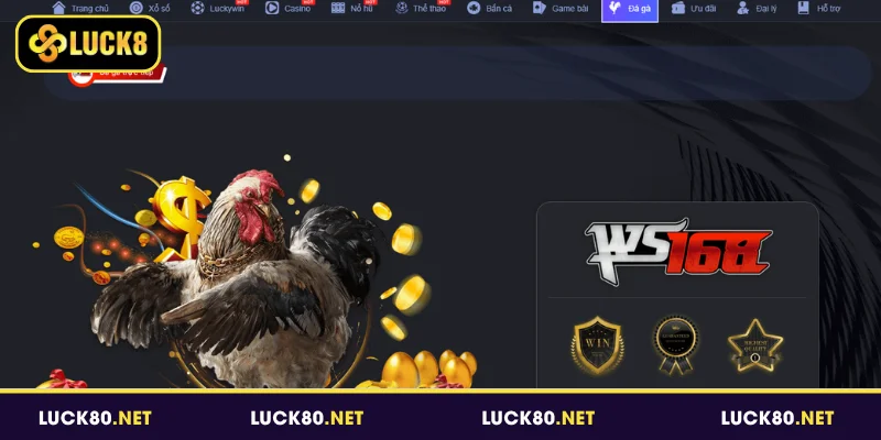 Sơ lược sảnh đá gà Luck8