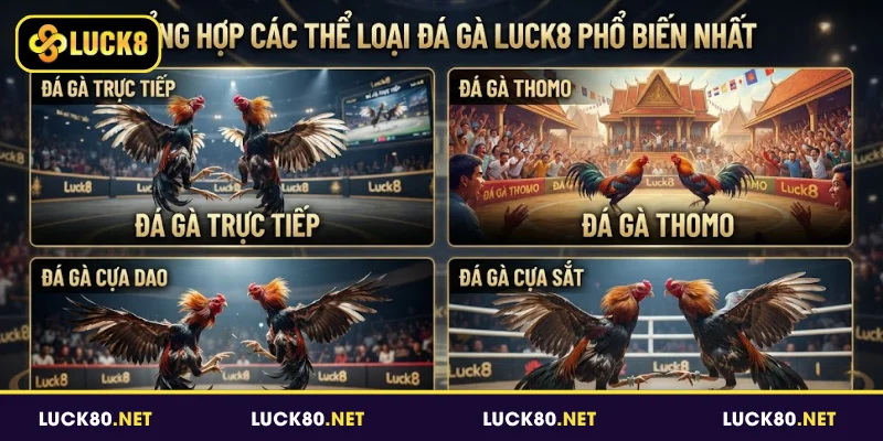 Tổng hợp các thể loại đá gà Luck8 phổ biến nhất